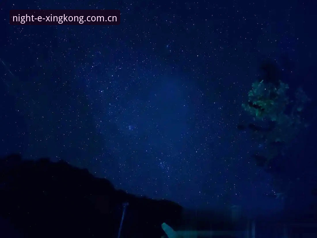 星空XINGKONG对比推荐 星空XINGKONG对比推荐核心要点详解:从数据同步到赛事替代的真实体验